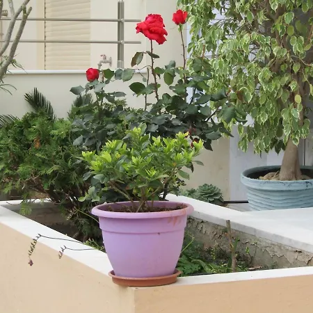 Kissing Spring Apartment